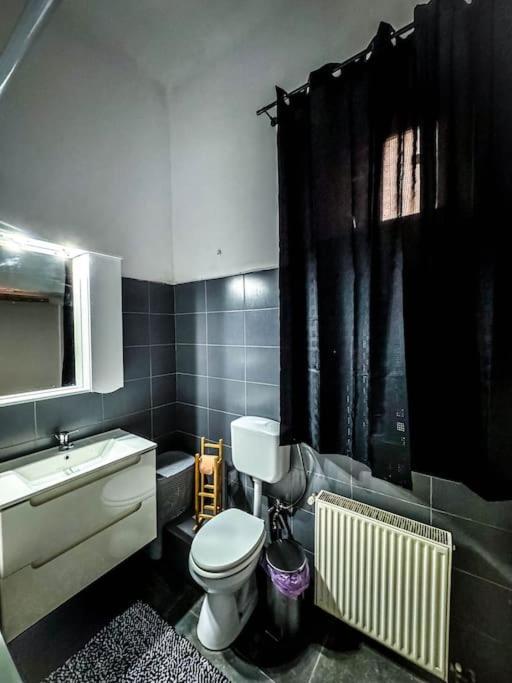 Cozy & Charming Apt. Downtown Lejlighed Timişoara Eksteriør billede